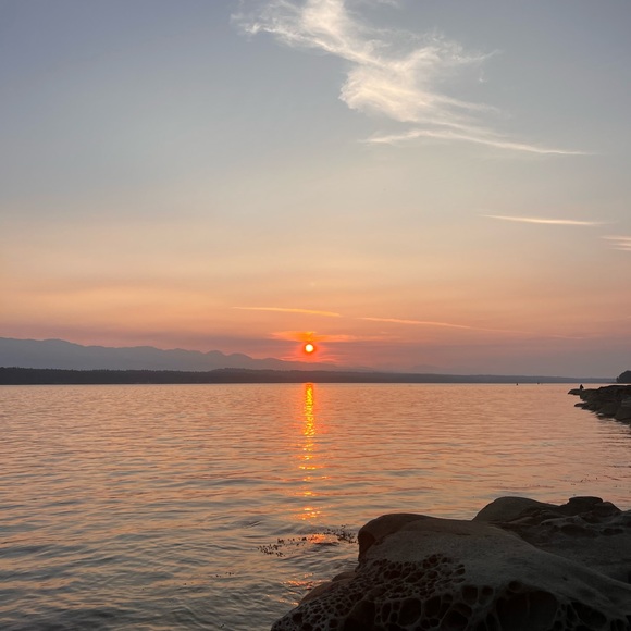 Meet your Posher, Markus - Picture 1 of 1